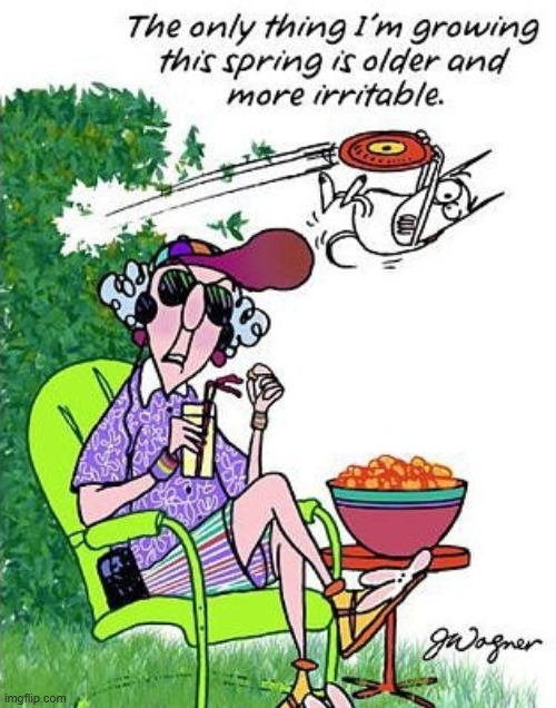 Happy Spring, everybody! | image tagged in spring,growing,older,irritable | made w/ Imgflip meme maker