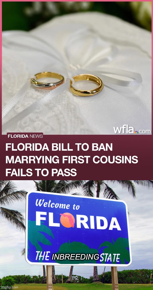 Florida Politicians Won’t Give Up Cousin-Wives | INBREEDING | image tagged in florida,wife,marriage,inbred,incest,law | made w/ Imgflip meme maker