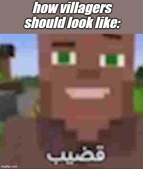 Minecraft story mode moment | how villagers should look like: | image tagged in minecraft story mode moment | made w/ Imgflip meme maker