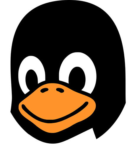 Linux Penguin Head Blank Meme Template