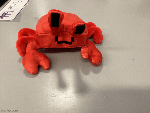 Me when there a crab | image tagged in gifs,crabs,scared cat | made w/ Imgflip images-to-gif maker