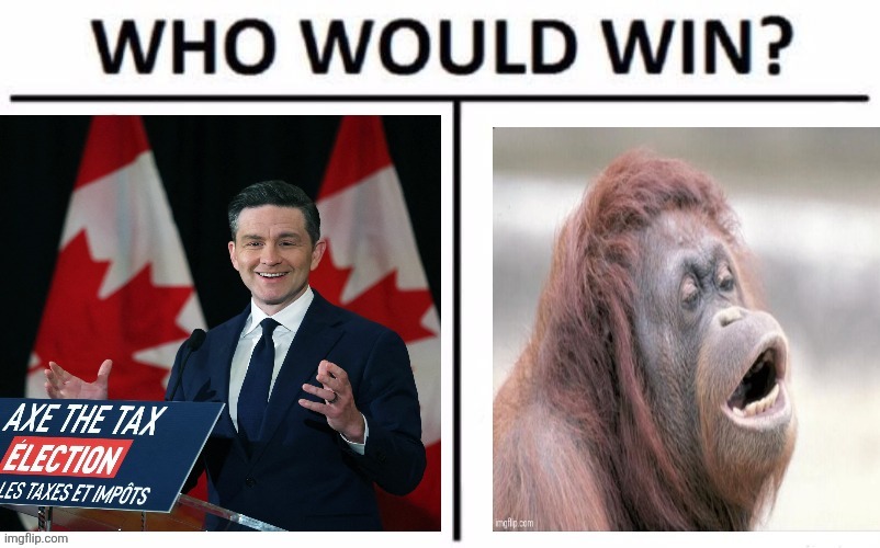 Canadian politics | image tagged in political meme | made w/ Imgflip meme maker