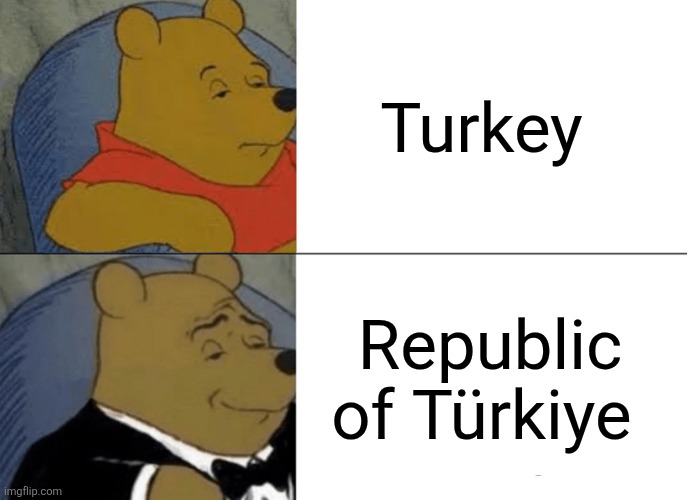 Turkey vs Türkiye | Turkey; Republic of Türkiye | image tagged in memes,tuxedo winnie the pooh,turkey,turkiye | made w/ Imgflip meme maker