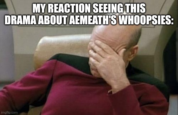 Captain Picard Facepalm Meme | MY REACTION SEEING THIS DRAMA ABOUT AEMEATH'S WHOOPSIES: | image tagged in memes,captain picard facepalm | made w/ Imgflip meme maker