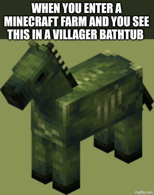 zombie horse | WHEN YOU ENTER A MINECRAFT FARM AND YOU SEE THIS IN A VILLAGER BATHTUB | image tagged in zombie horse | made w/ Imgflip meme maker