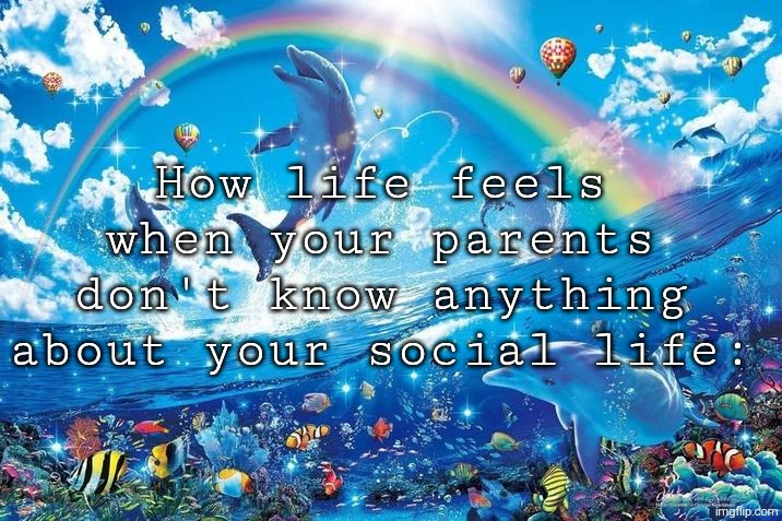 Happy dolphin rainbow | How life feels when your parents don't know anything about your social life: | image tagged in happy dolphin rainbow | made w/ Imgflip meme maker