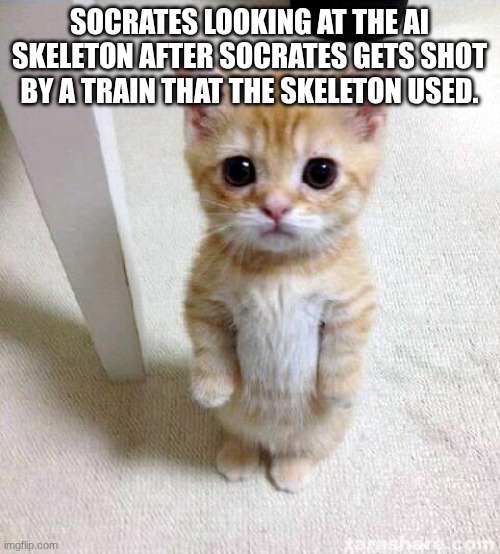 Sigma | SOCRATES LOOKING AT THE AI SKELETON AFTER SOCRATES GETS SHOT BY A TRAIN THAT THE SKELETON USED. | image tagged in memes,cute cat | made w/ Imgflip meme maker
