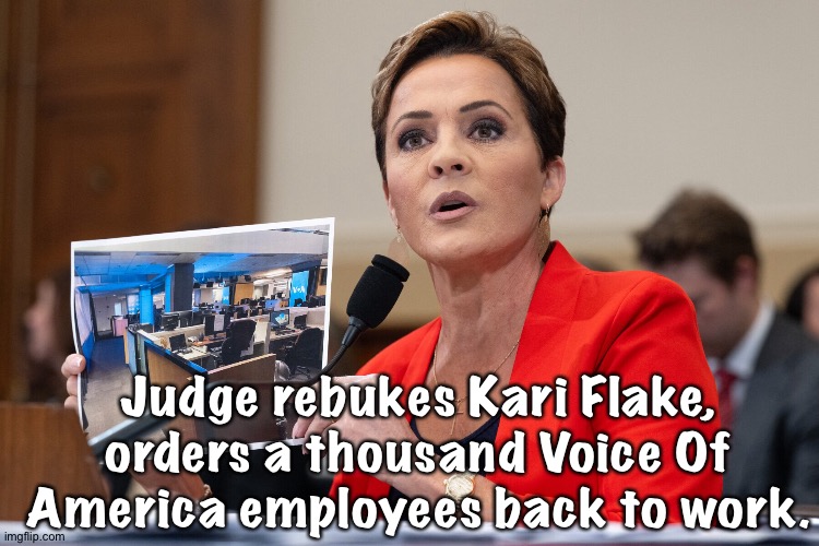 https://www.npr.org/2026/03/17/nx-s1-5751162/voice-of-america-lawsuit-kari-lake | Judge rebukes Kari Flake, orders a thousand Voice Of America employees back to work. | image tagged in kari lake | made w/ Imgflip meme maker