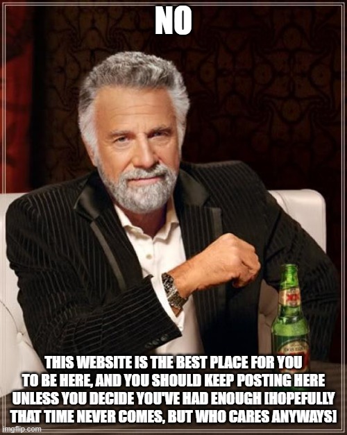 use to counteract "should I leave or no" memes | NO; THIS WEBSITE IS THE BEST PLACE FOR YOU TO BE HERE, AND YOU SHOULD KEEP POSTING HERE UNLESS YOU DECIDE YOU'VE HAD ENOUGH [HOPEFULLY THAT TIME NEVER COMES, BUT WHO CARES ANYWAYS] | image tagged in memes,the most interesting man in the world | made w/ Imgflip meme maker