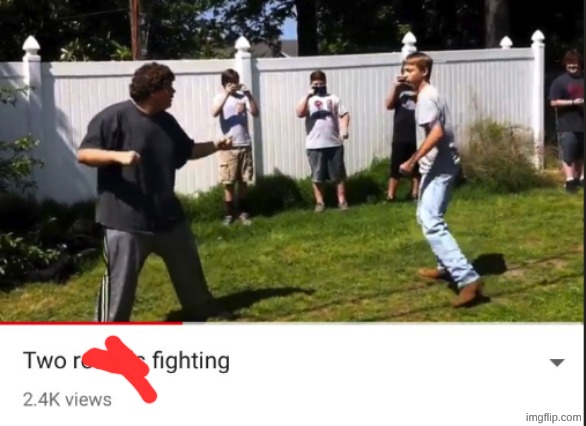 toady vs garfieldfan | image tagged in two idiots fighting | made w/ Imgflip meme maker