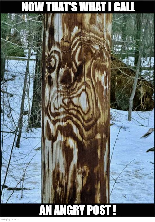 Someone Needs To Calm Down ! | NOW THAT'S WHAT I CALL; AN ANGRY POST ! | image tagged in calm down,now thats what i call,angry,post | made w/ Imgflip meme maker