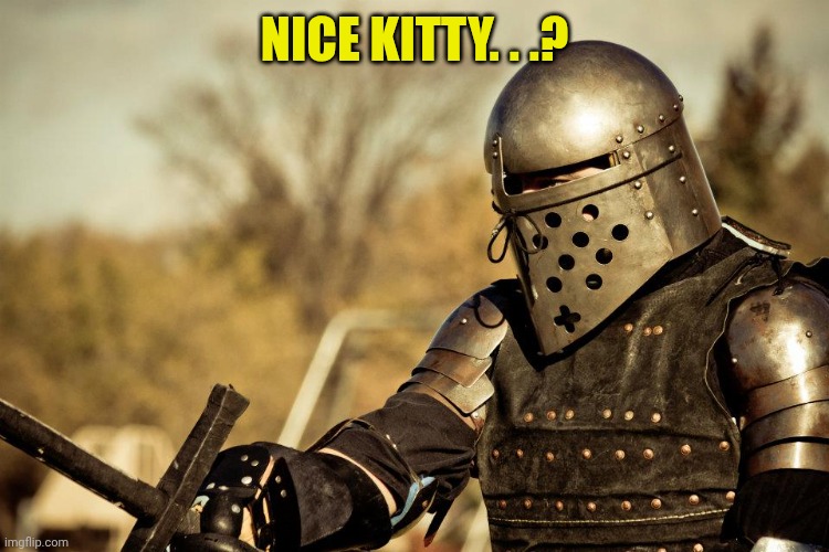 Armored Combat | NICE KITTY. . .? | image tagged in armored combat | made w/ Imgflip meme maker