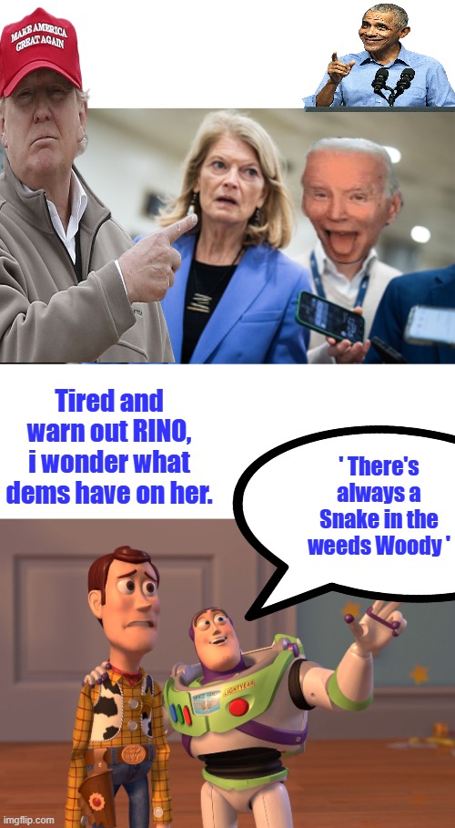 Lone GOP senator defects, joins Dems to block Trump voter ID bill .BERNADET ARNOLD traitor | Tired and warn out RINO, i wonder what dems have on her. ' There's always a Snake in the weeds Woody ' | image tagged in memes,x x everywhere | made w/ Imgflip meme maker