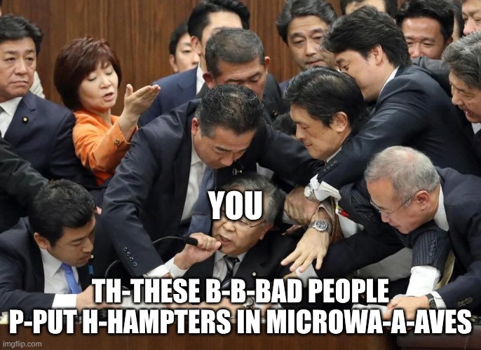 2015 Japanese Parliament Brawl | YOU TH-THESE B-B-BAD PEOPLE P-PUT H-HAMPTERS IN MICROWA-A-AVES | image tagged in 2015 japanese parliament brawl | made w/ Imgflip meme maker