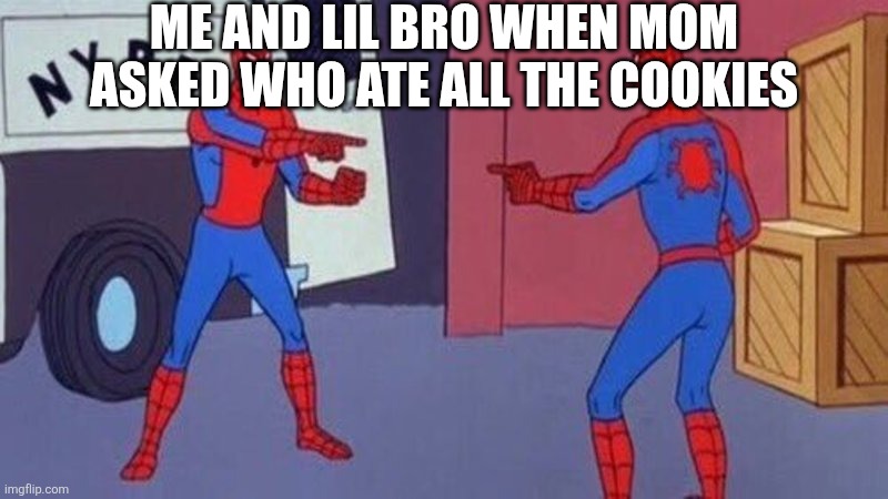 spiderman pointing at spiderman | ME AND LIL BRO WHEN MOM ASKED WHO ATE ALL THE COOKIES | image tagged in spiderman pointing at spiderman | made w/ Imgflip meme maker
