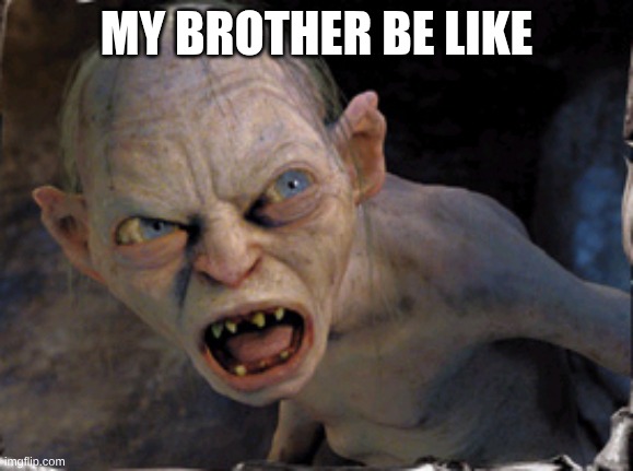 Gollum lord of the rings | MY BROTHER BE LIKE | image tagged in gollum lord of the rings | made w/ Imgflip meme maker