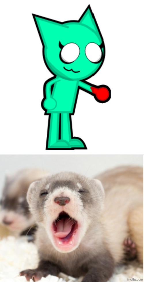 Neener will be pretty neat as a ferret... | image tagged in ferret sleepy | made w/ Imgflip meme maker