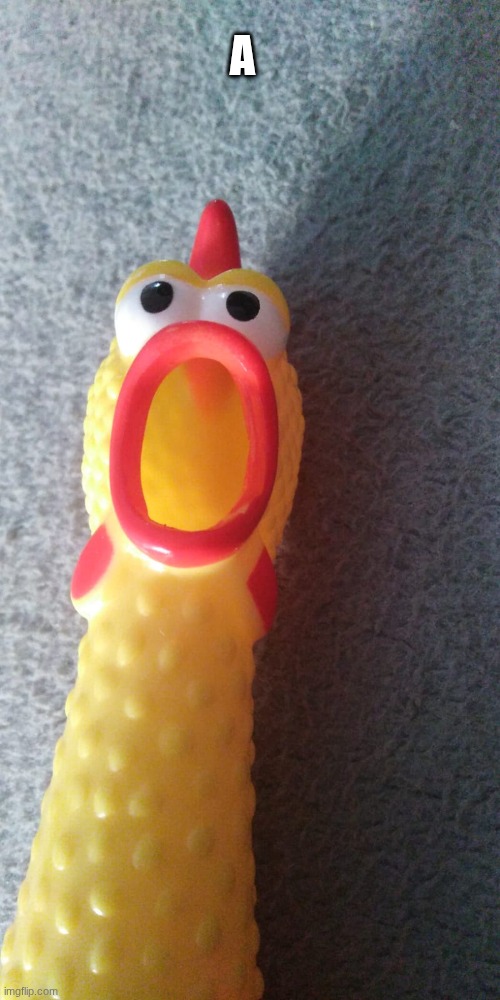 A | image tagged in rubber chicken | made w/ Imgflip meme maker