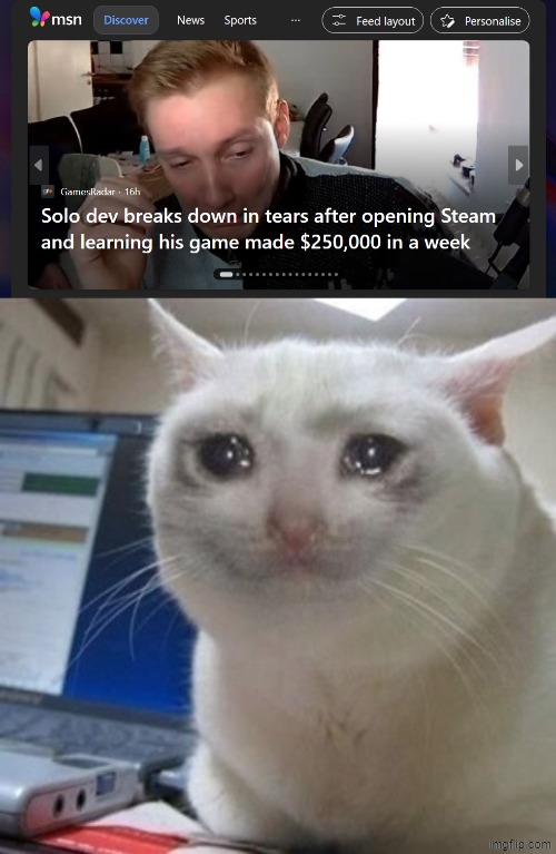 image tagged in crying cat,memes,funny | made w/ Imgflip meme maker