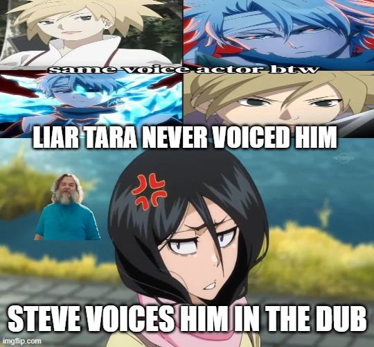 angry rukia meme | LIAR TARA NEVER VOICED HIM; STEVE VOICES HIM IN THE DUB | image tagged in angry rukia template,anime,anime memes,bleach,steve,i am steve | made w/ Imgflip meme maker