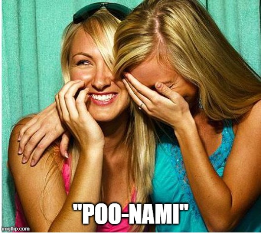 "POO-NAMI" | image tagged in laughing girls | made w/ Imgflip meme maker