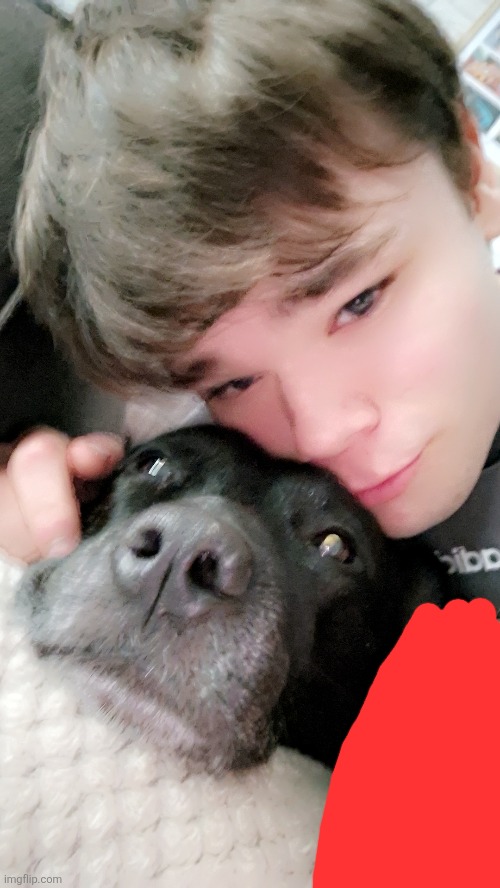 dog | made w/ Imgflip meme maker