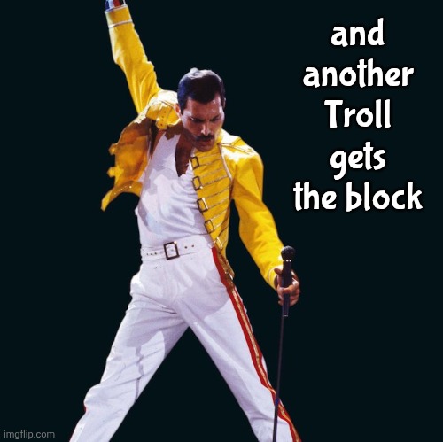 freddie mercury | and another Troll gets the block | image tagged in freddie mercury | made w/ Imgflip meme maker