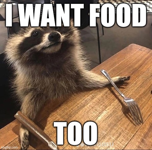 I’m hungry too | I WANT FOOD; TOO | image tagged in hungry racoon,food | made w/ Imgflip meme maker