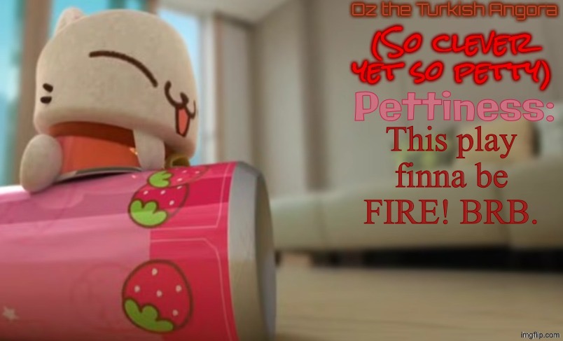 Oz the Turkish Angora | This play finna be FIRE! BRB. | image tagged in oz the turkish angora | made w/ Imgflip meme maker