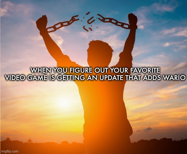 Man breaking free from chains over the sunset | WHEN YOU FIGURE OUT YOUR FAVORITE VIDEO GAME IS GETTING AN UPDATE THAT ADDS WARIO | image tagged in man breaking free from chains over the sunset | made w/ Imgflip meme maker