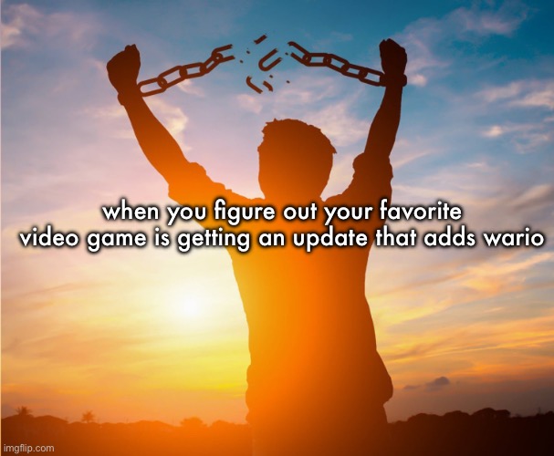 Man breaking free from chains over the sunset | when you figure out your favorite video game is getting an update that adds wario | image tagged in man breaking free from chains over the sunset | made w/ Imgflip meme maker