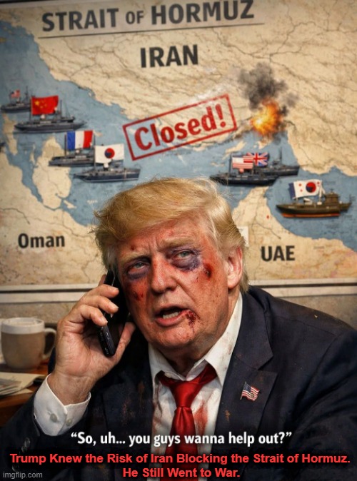 "Not our war"! U.S. allies balk at Trump's Strait of Hormuz demands. | Trump Knew the Risk of Iran Blocking the Strait of Hormuz. 
He Still Went to War. | image tagged in donald trump,iran war,gas prices | made w/ Imgflip meme maker