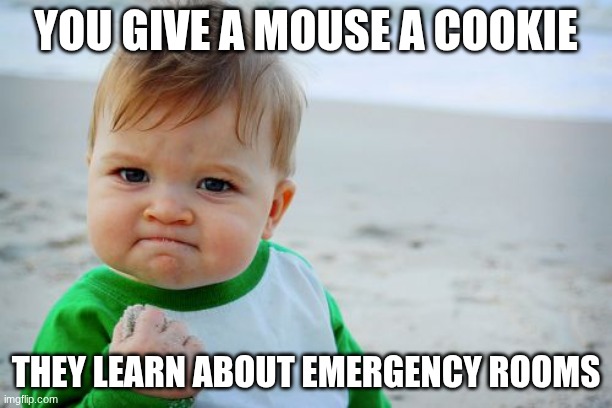 Success Kid Original | YOU GIVE A MOUSE A COOKIE; THEY LEARN ABOUT EMERGENCY ROOMS | image tagged in memes,success kid original | made w/ Imgflip meme maker