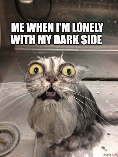Traumatized Wet Cat | ME WHEN I'M LONELY WITH MY DARK SIDE | image tagged in traumatized wet cat | made w/ Imgflip meme maker