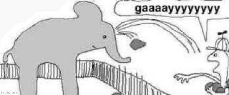 Gay elephant | image tagged in gay elephant | made w/ Imgflip meme maker