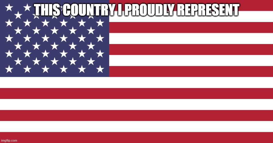 With no regrets! (Ignore my handle) | THIS COUNTRY I PROUDLY REPRESENT | image tagged in flag of usa,nato | made w/ Imgflip meme maker