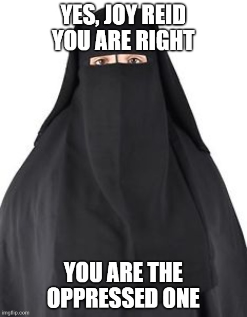 burka | YES, JOY REID YOU ARE RIGHT YOU ARE THE OPPRESSED ONE | image tagged in burka | made w/ Imgflip meme maker