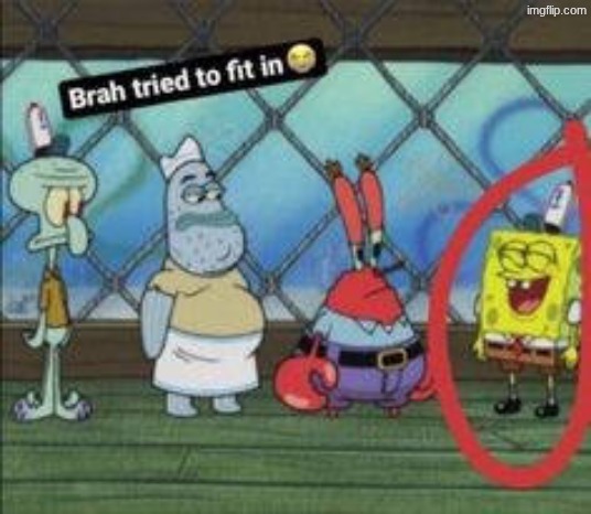 Bro tried to fit in | image tagged in bro tried to fit in | made w/ Imgflip meme maker