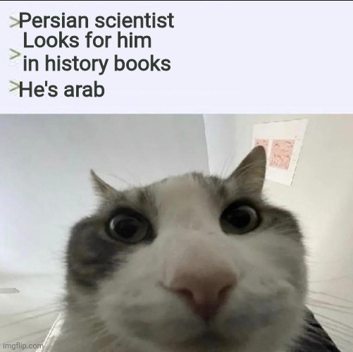 The falsification of history on the internet | Persian scientist; Looks for him in history books; He's arab | image tagged in cat looks inside,iran,iranian,persian,arab,science | made w/ Imgflip meme maker