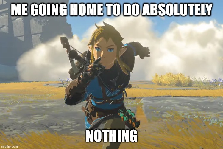 Tears of the kingdom running | ME GOING HOME TO DO ABSOLUTELY; NOTHING | image tagged in tears of the kingdom running | made w/ Imgflip meme maker