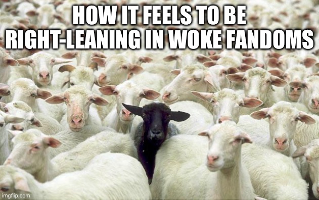 This but i’m a white sheep and everyone else is a rainbow sheep | HOW IT FEELS TO BE RIGHT-LEANING IN WOKE FANDOMS | image tagged in black sheep | made w/ Imgflip meme maker
