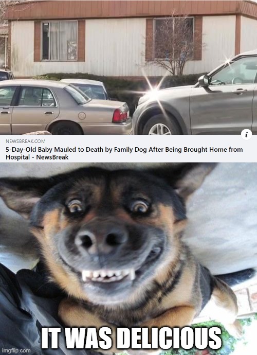 Baby Food | IT WAS DELICIOUS | image tagged in smiling dog | made w/ Imgflip meme maker