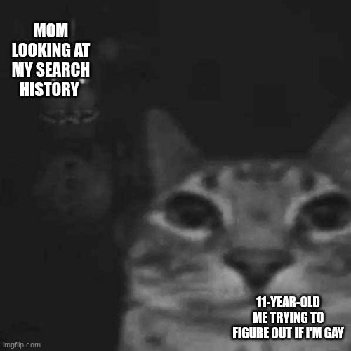 I can't be the only one right | MOM LOOKING AT MY SEARCH HISTORY; 11-YEAR-OLD ME TRYING TO FIGURE OUT IF I'M GAY | image tagged in he s behind me isn t he | made w/ Imgflip meme maker