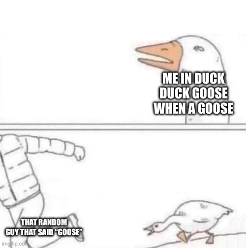 ME IN DUCK DUCK GOOSE WHEN A GOOSE THAT RANDOM GUY THAT SAID “GOOSE” | image tagged in goose chase | made w/ Imgflip meme maker