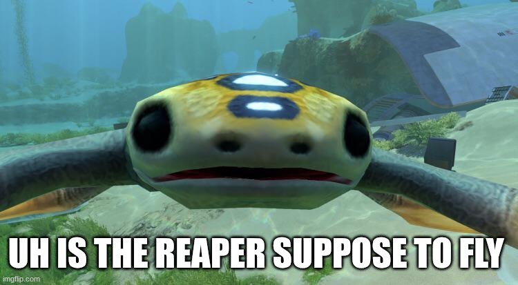 Subnautica meme | UH IS THE REAPER SUPPOSE TO FLY | image tagged in shocked hoverfish subnautica | made w/ Imgflip meme maker