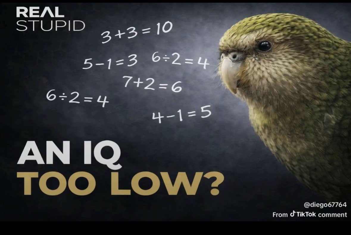 An IQ too low Blank Meme Template