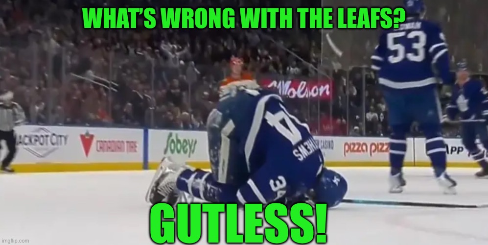 WHAT’S WRONG WITH THE LEAFS? GUTLESS! | image tagged in falling | made w/ Imgflip meme maker
