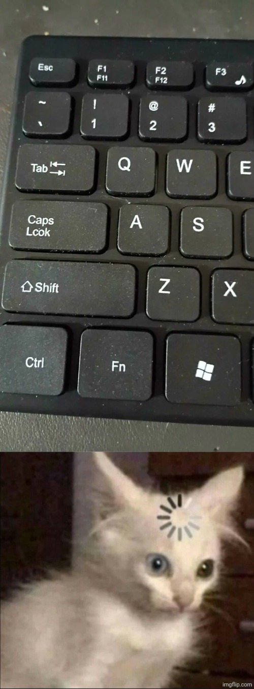 Caps Lcok | image tagged in cat buffer,caps lock,memes,spelling error,you had one job,keyboard | made w/ Imgflip meme maker