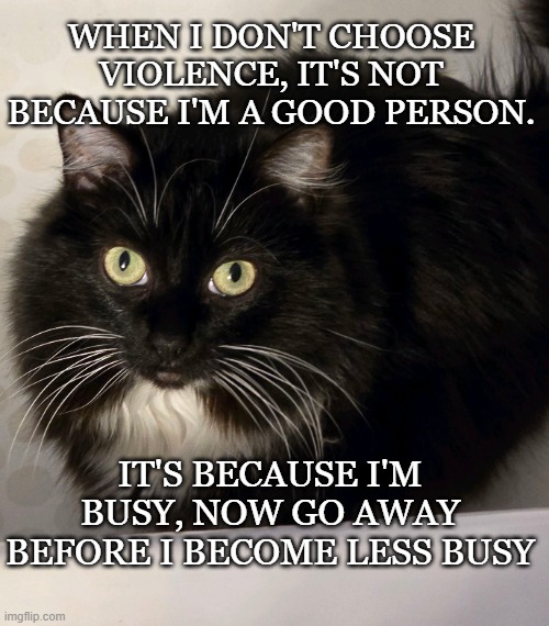 TK | WHEN I DON'T CHOOSE VIOLENCE, IT'S NOT BECAUSE I'M A GOOD PERSON. IT'S BECAUSE I'M BUSY, NOW GO AWAY BEFORE I BECOME LESS BUSY | image tagged in tk | made w/ Imgflip meme maker