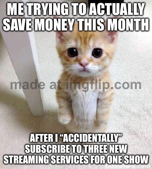 ME TRYING TO ACTUALLY SAVE MONEY THIS MONTH; AFTER I “ACCIDENTALLY” SUBSCRIBE TO THREE NEW STREAMING SERVICES FOR ONE SHOW | ME TRYING TO ACTUALLY SAVE MONEY THIS MONTH; AFTER I “ACCIDENTALLY” SUBSCRIBE TO THREE NEW STREAMING SERVICES FOR ONE SHOW | image tagged in memes,cute cat,subscribe,television,television series,money | made w/ Imgflip meme maker
